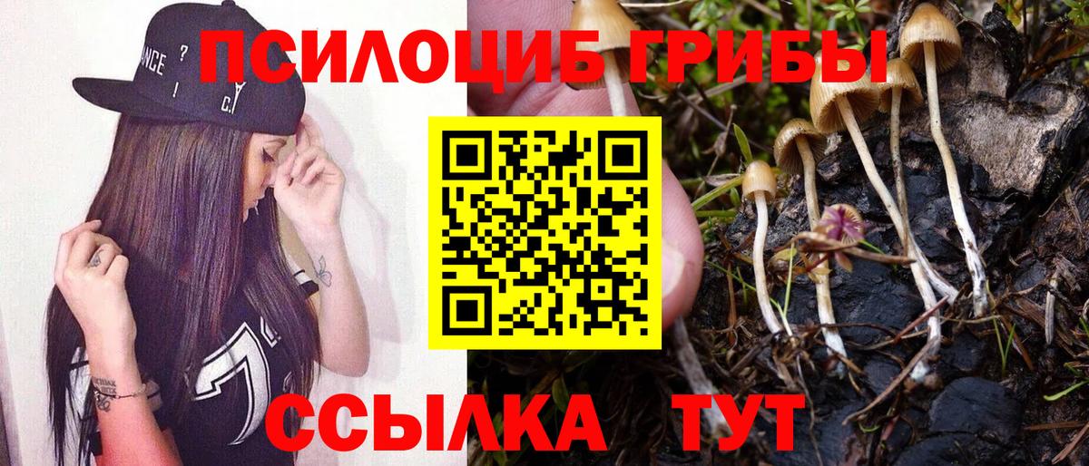 Верхняя Пышма  Псилоцибиновые грибы Psilocybe  Галлюциногенные грибы Psilocybine cubensis  Вход с VPN 