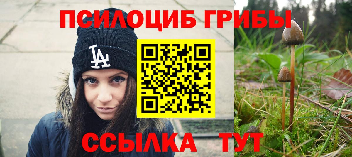 Псилоцибиновые грибы Psilocybine cubensis Верхняя Пышма